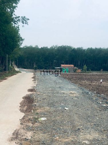 Hình ảnh Bán gấp lô đất sổ hồng tại Minh Lập Chơn Thành Bình Phước