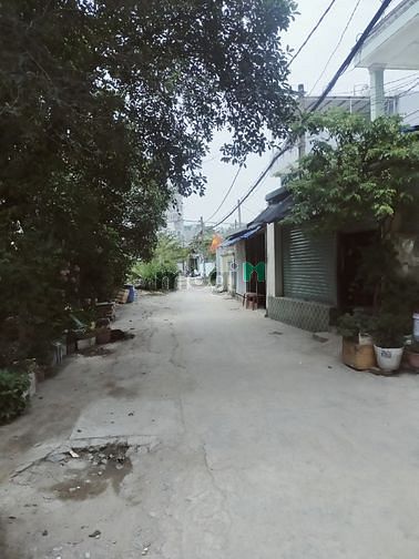 Hình ảnh Cho thuê 2100m đất đã có sẵn vườn cây ăn trái