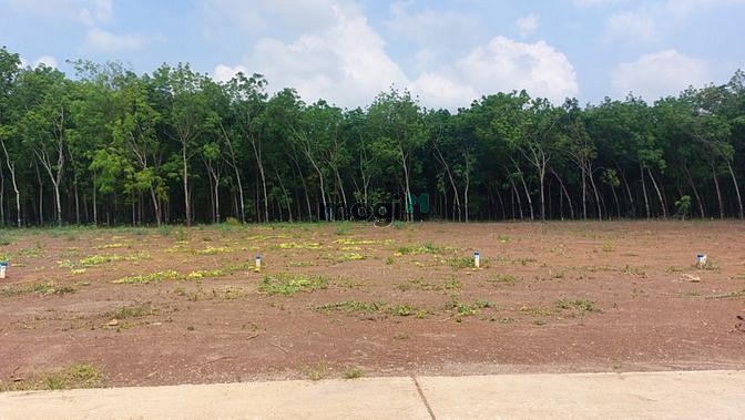 Hình ảnh Đất nền phân lô dự án Lộc Thịnh Graden 10