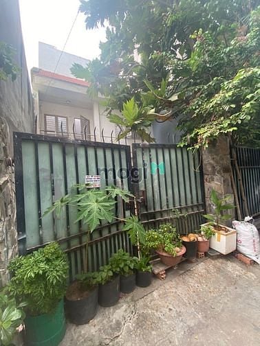 Hình ảnh Lô đất thổ cư 7x11m Hẻm 1135 Huỳnh Tấn Phát, Phường Phú Thuận, Quận 7