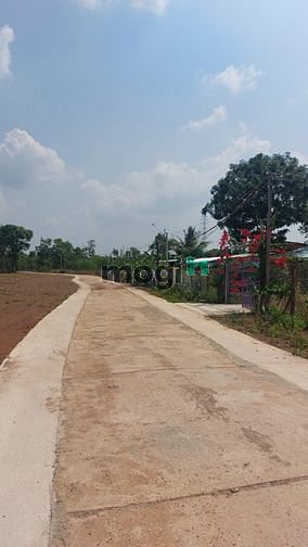 Hình ảnh Đất nền phân lô dự án Lộc Thịnh Graden 10