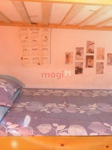 Hình ảnh trọ xinh decor siêu xịn, ưu đãi ngập tràn