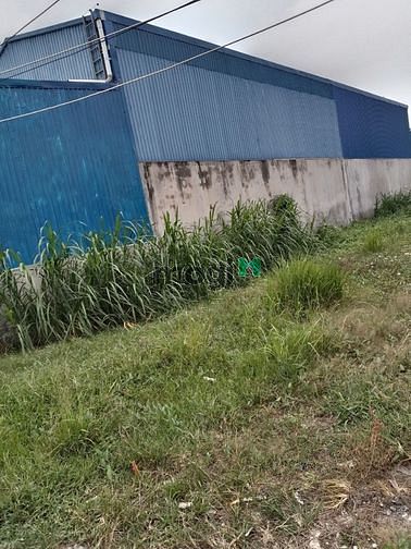 Hình ảnh MT Trần Thị Trò Bình Mỹ Củ Chi 830m2 có 200m2 tc