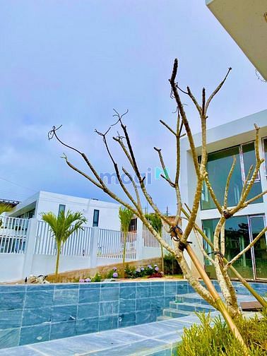 Hình ảnh Đất thổ cư TP Bảo Lộc view thung lũng, đồi núi thích hợp nghĩ dưỡng