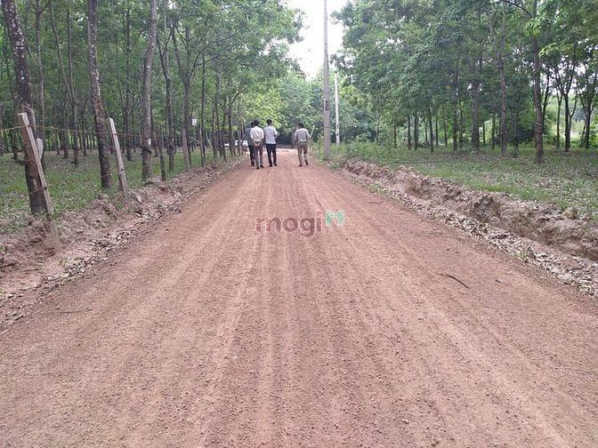 Hình ảnh Đất đẹp thổ cư 200m2 KCN Lộc Ninh Bình Phước
