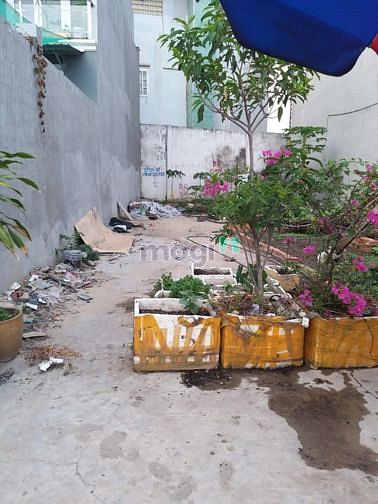 Hình ảnh Giá bán 4.1Tỷ/85.1 m2 (4x21) Đất TTH29 Quận 12. Sổ Hồng Riêng