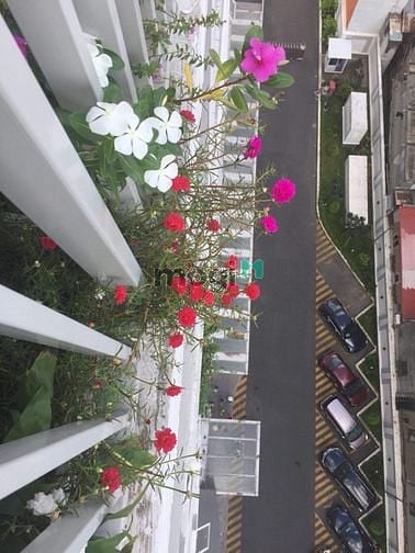 Hình ảnh Cần bán Căn1pn cc Carillon 2 - Đặng Thành, 27 Trình Đình Thảo, Tân Phú