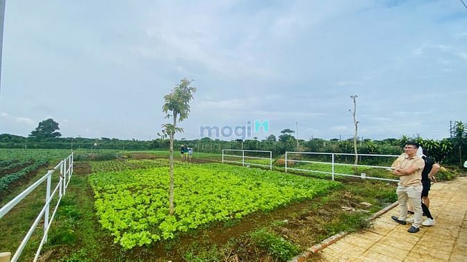 Hình ảnh Cần Bán Nền Kế Phường 2 Bảo Lộc. Giá 4.5tr/m2 Sổ Sẵn CC Ngay