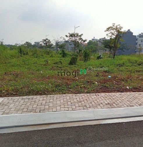 Hình ảnh Đất vàng MT An Phú Tây, Hưng Long, Bình Chánh 1,5t/180m2, SHR, TC 100%