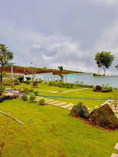 Hình ảnh Đất trung tâm TP Bảo Lộc, view thung lũng, sổ hồng riêng, giá tốt