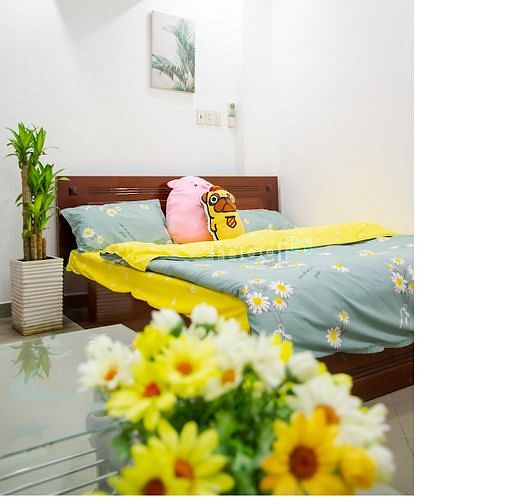 Hình ảnh Cho thuê Trang Chủ MB66.COM / Đăng Ký Tặng 66K 1PN, DT50m2 giá siêu rẻ tại quận 3