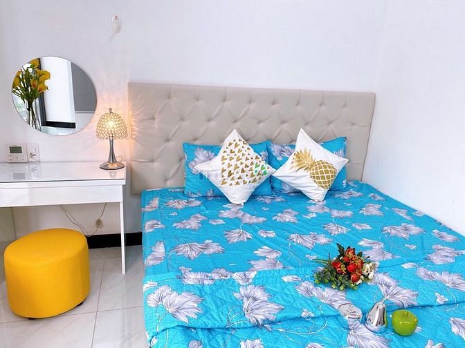 Hình ảnh Tân Quy, Quận 7. Studio 1PN. Full NT