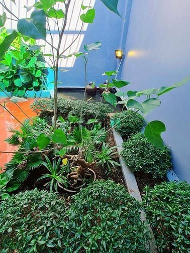 Hình ảnh Nhà mới xây, đất full thổ cư đường Huỳnh Hữu Trí