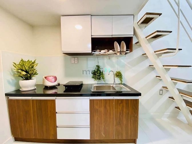 Hình ảnh ORCHIRD HOUSE - CHDV mới xây Quận 7 - Gần ĐH TDT, RMIT, ...