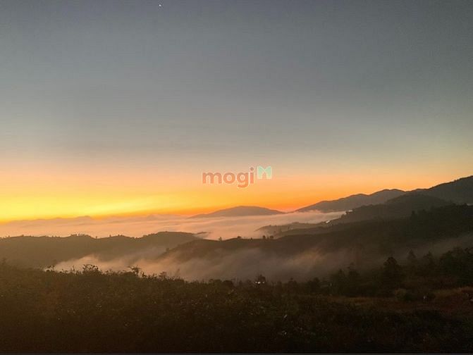 Hình ảnh Đất nền thổ cư Lộc Nam Hill Bảo Lộc