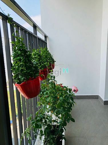 Hình ảnh Share 1 PN trong Trang Chủ MB66.COM / Đăng Ký Tặng 66K 2 PN chung cư Saigon South