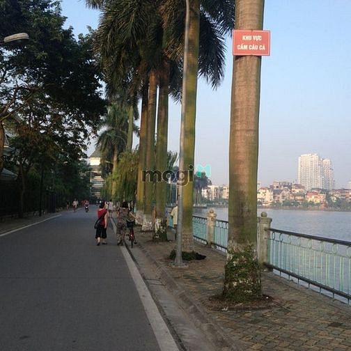 Hình ảnh Cực hiếm, đất đặng thai mai, quảng an, tây hồ, ôtô đỗ, 150m2, mt 9m x