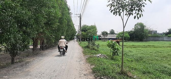 Hình ảnh Bán gấp đất Quách Điêu, Bình Chánh. Giá 330tr