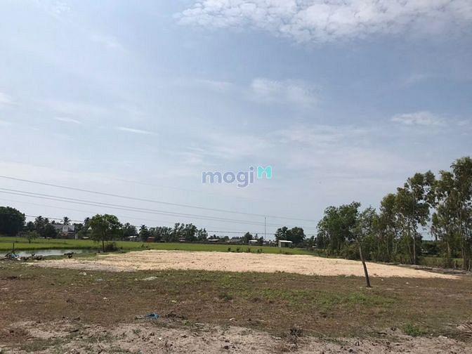 Hình ảnh Đất đường đất đỏ Phò Trì Tân Thắng m giá 5 tỷ 6.
