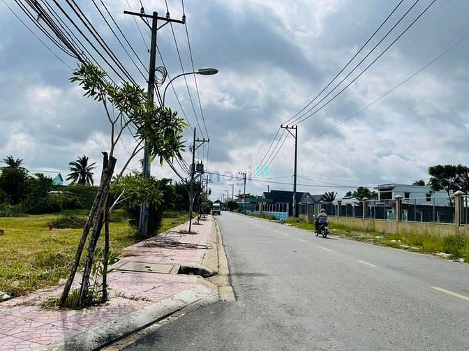 Hình ảnh Đất Bình Chánh diện tích siêu lớn , xây dựng tự do