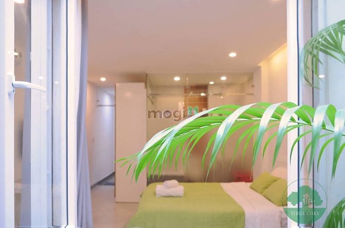 Hình ảnh cầu Calmet, Đh Luật, studio cao cấp