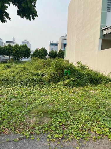 Hình ảnh Đất 95m2 giá rẻ MT đường Tân Túc, TT Tân Túc