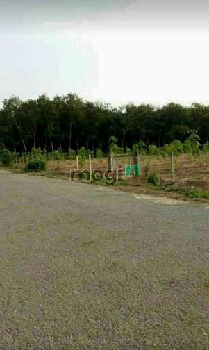 Hình ảnh 33.353m đất mt nhựa 16m ô tô vi vu, Long Nguyên Bàu Bàng, phân lô, KCN