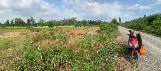 Hình ảnh hính chủ thở oxy cần bán lô đất thổ cư TP Đức Hoà - Long An