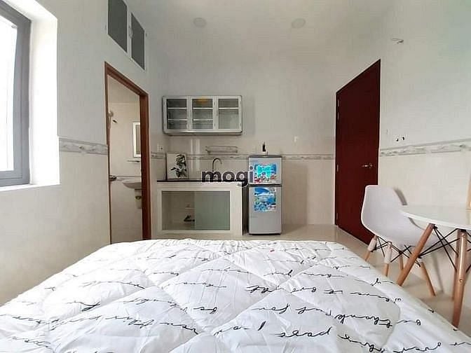 Hình ảnh giờ giấc tự do, được nuôi thú cưng