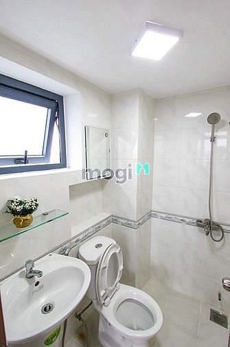 Hình ảnh giờ giấc tự do, được nuôi thú cưng