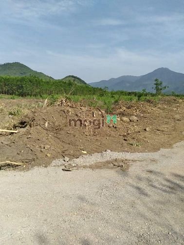 Hình ảnh Cung cấp bđs công nghiệp khu vực Ninh Hòa - Khánh Hòa