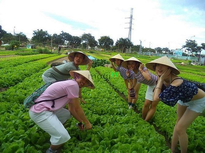 Hình ảnh Cặp đất đường Tôn Đức Thắng ngay phố cổ Hội An, kinh doanh homestay