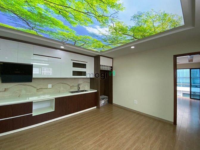 Hình ảnh BIỆT THỰ Sân Bay Tân Sơn Nhất Tân Bình- Gía Chào 33.3