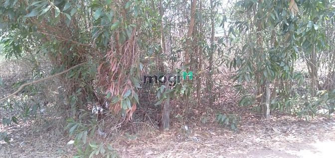 Hình ảnh Đất đường đất đỏ hồ lân 10 x 45m. Tân Thắng giá 2 tỷ