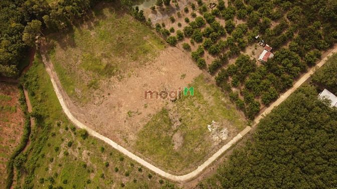 Hình ảnh Cần bán gấp đất Tân Quan, Hớn quản 625m2