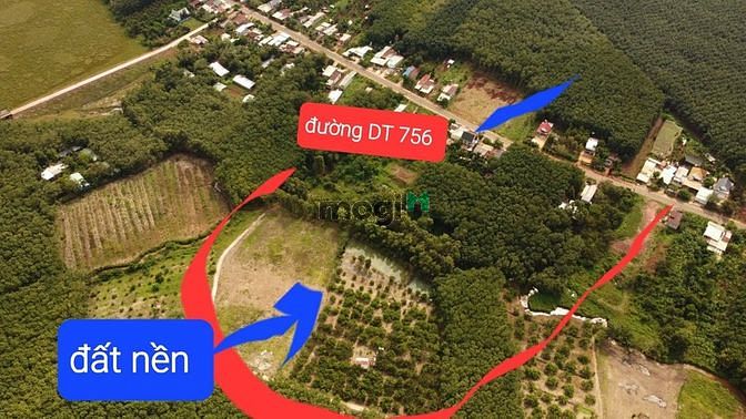 Hình ảnh Cần bán gấp đất Tân Quan, Hớn quản 625m2