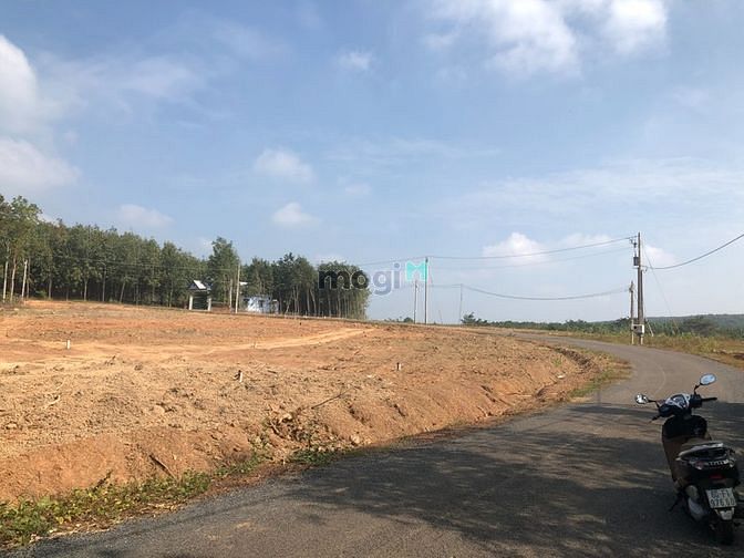 Hình ảnh Đất thổ cư sổ sẵn Lộc Ninh giá rẻ 419 Triệu/nền