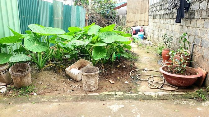 Hình ảnh Bán Đất Giang Lẻ Biên Giang – 90m2 , ô tô vào đất giá rẻ 2.7 tỷ