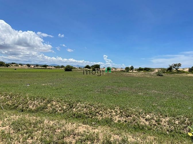 Hình ảnh Bán 9947m2 đất nở hậu - Mặt tiền trên sổ 34m