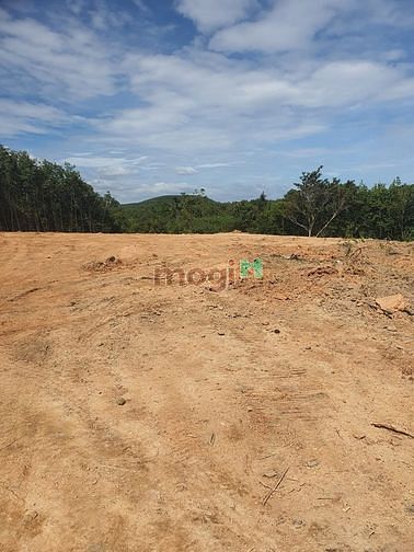 Hình ảnh Đất thổ cư giá rẻ tiềm năng cao lộc ninh bình phước