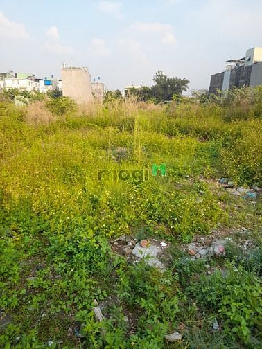 Hình ảnh Bán đất 56m2 Thạnh Xuân 33 Q12- HẺM XE TĂNG giá rẻ