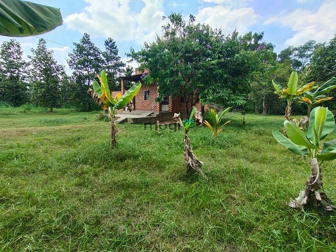 Hình ảnh Bán 1639m² đất trồng cây có 320m² thổ cư giá 13 tỷ tl xã Hòa Phú Củ Ch