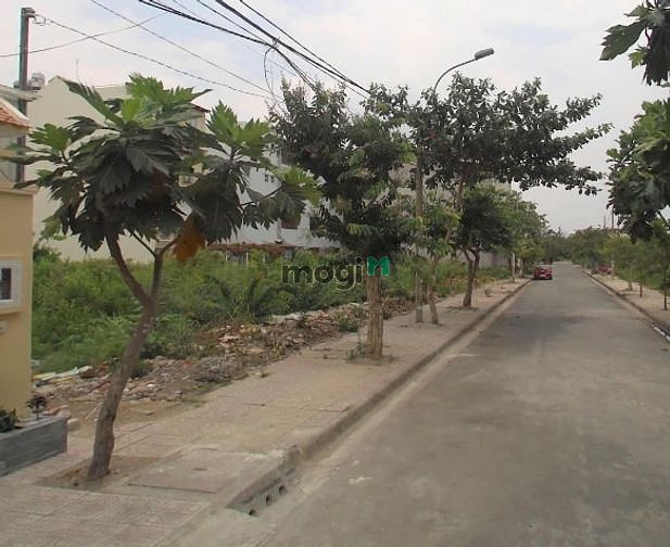 Hình ảnh Đất Khu Vực Đông Dân Cư Full Thổ Cư SHR