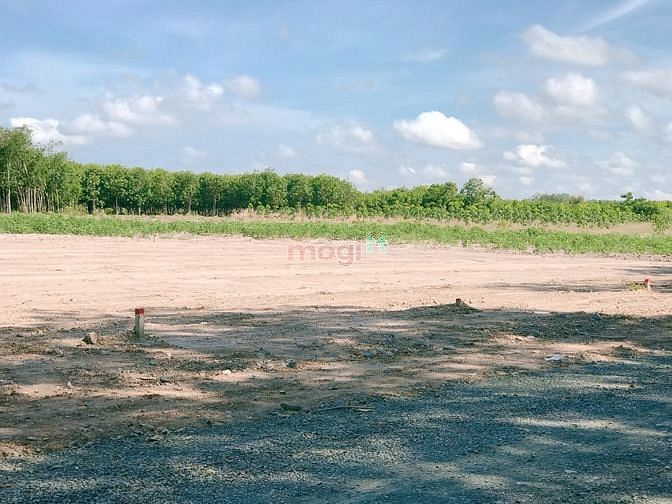 Hình ảnh Cần bán gấp miếng đất diện tích 6x40m, SHR gần TTHC huyện Chơn Thành