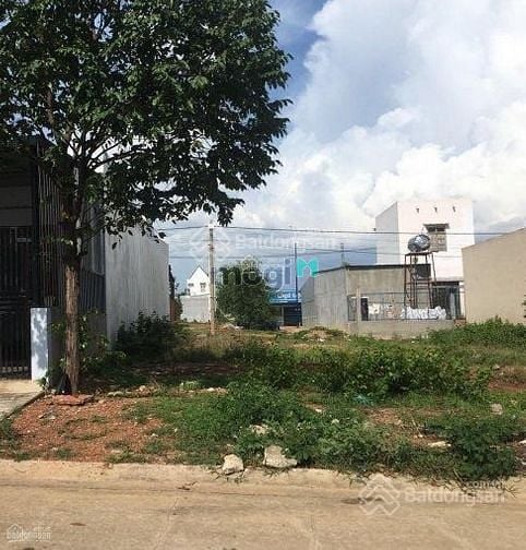 Hình ảnh Bán 121m2 đường Hoàng Phan Thái, Bình Chánh ngay sau chợ.