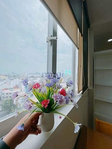 Hình ảnh Căn 1 phòng ngủ giá hời sát nách Lotte Quận 7