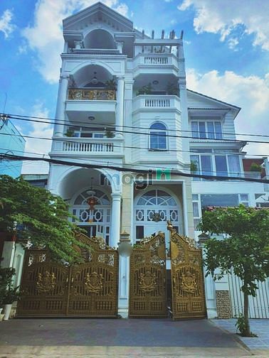 Hình ảnh Biệt thự 640m2 Cao Lỗ, Phường 4, Quận 8.(8m x 20m)