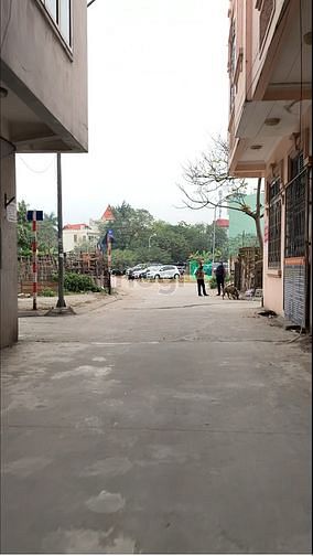 Hình ảnh Bán đất Đại Đồng, Thanh Trì, Hoàng Mai, dt 60m2, mặt tiền cực đẹp 6m