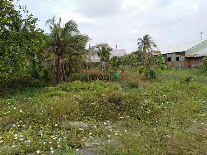 Hình ảnh 1783m2 đất Bình Mỹ Củ Chi có 300m2 Thổ Cư