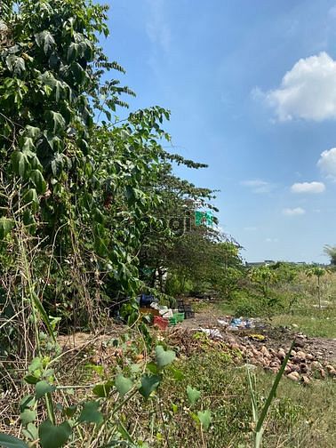 Hình ảnh Bán Lô đất 1 trục 2685m2 thổ cư đường Võ Văn Vân, Bình Chánh
